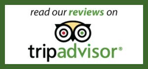 TripAdvisor Reviews